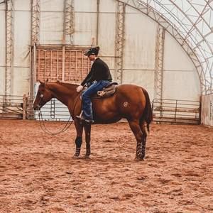 Meet your Posher, Nikki